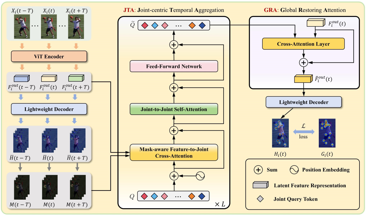 图2  TAR-ViTPose模型整体框架图